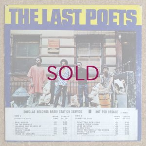 画像1: Lsat Poets - Last Poets