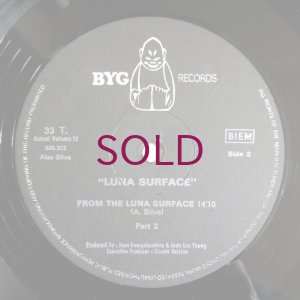 画像4: Alan Silva & His Celestrial Communication Orchestra - Luna Surface