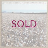 Marion Brown - November Cotton Flower