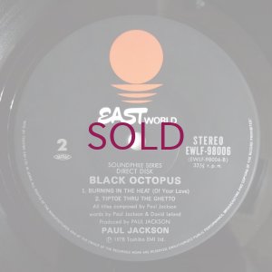 画像4: Paul Jackson - Black Octopus