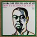 画像1: Dewey Redman Quartet - Look For The Black Star (1)