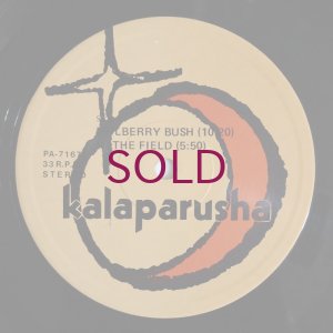 画像3: Kalaparusha - Kalaparusha