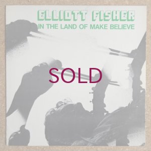 画像1: Elliott Fisher - In The Land Of Make Believe