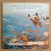 画像1: Lonnie Liston Smith & The Cosmic Echoes - Reflections Of A Golden Dream (1)