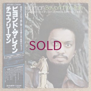 画像1: Chico Freeman - Beyond The Rain