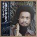 画像1: Chico Freeman - Beyond The Rain (1)