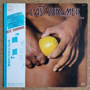 画像1: Yasuko Nagamine, Yasuaki Shimizu etc. - Last Summer