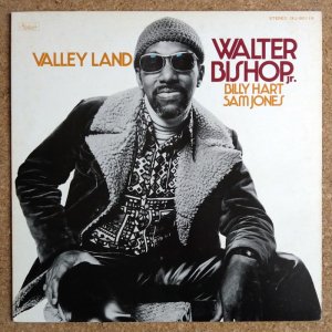 画像1: Walter Bishop, Jr. - Valley Land