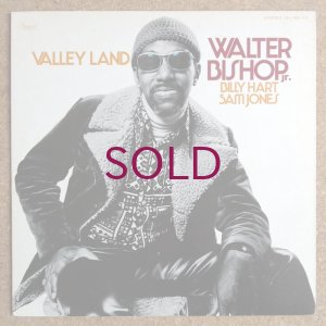 画像1: Walter Bishop, Jr. - Valley Land