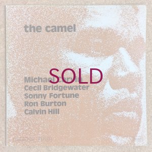 画像1: Michael Carvin - The Camel